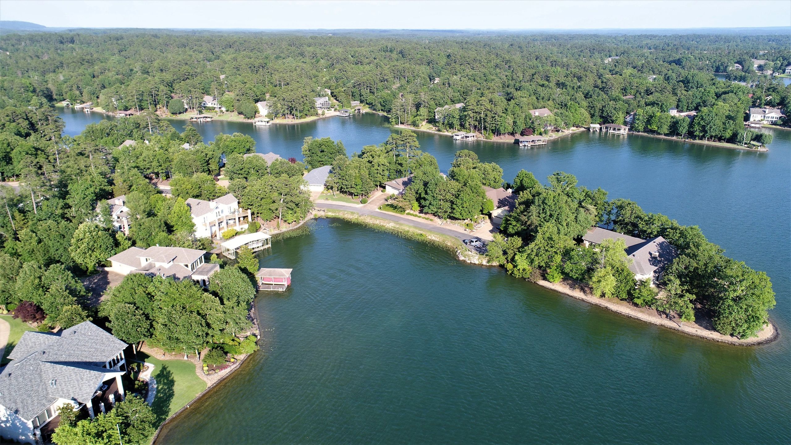 Monita Collins, H.S.V. Century 21